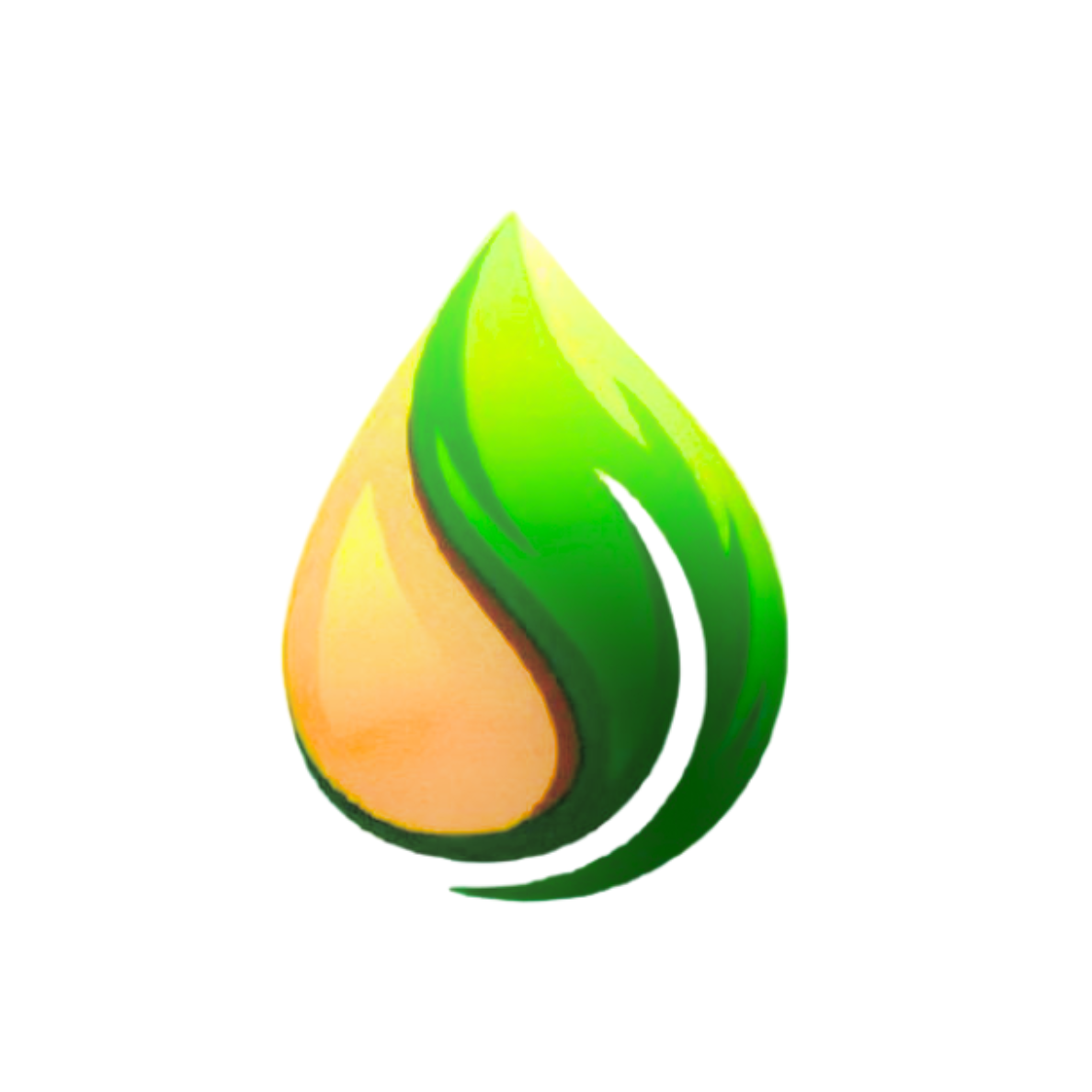 ارغان التألق